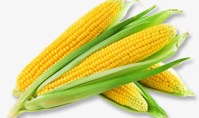 Soluble Corn Fiber